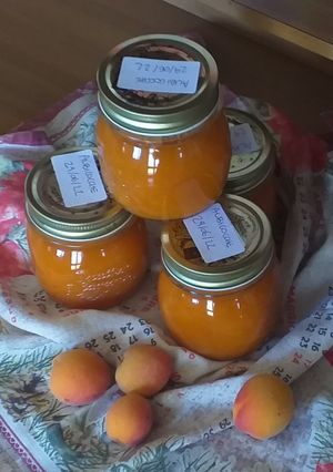 Foto di Marmellata di albicocche