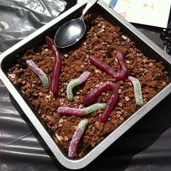 A picture of Dirt & Worms.