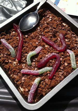 A picture of Dirt & Worms.