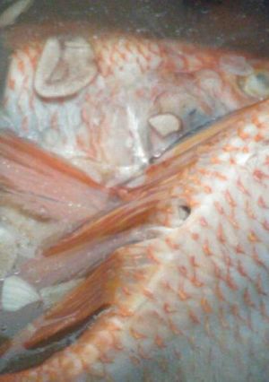 Foto resep SOP ikan nila