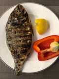 Mediterranean Grilled Dorado
