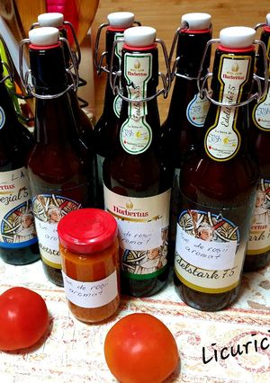 O poză a rețetei Suc de roșii aromat(passatta).