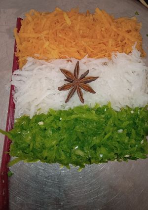 ત્રીરંગી સલાડ (Trirangi Salad Recipe In Gujarati) રેસીપી મુખ્ય ફોટો