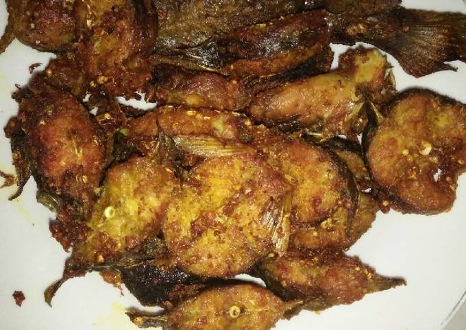 Yuk intip, Bagaimana cara bikin Lele goreng gurih yang nagih banget