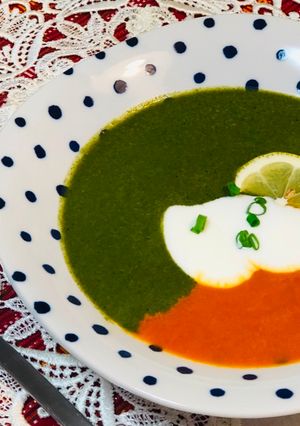 A picture of Red and Green Vegetables Soup.