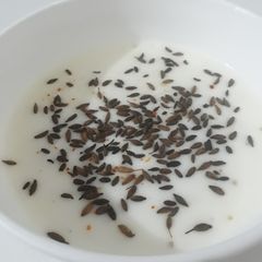 A picture of Jeera raita.