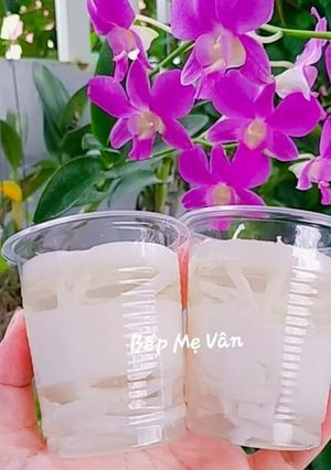 Hình của món Rau câu dừa ly.