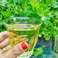 Air Rebusan Seledri রেসিপির প্রধান ছবি