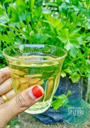 Foto resep Air Rebusan Seledri