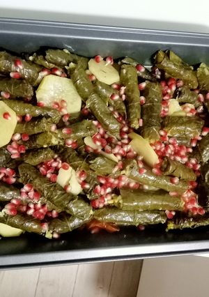 صورة لوصفة ورق عنب بزيت الزيتون لذيذ جدا😋♥️