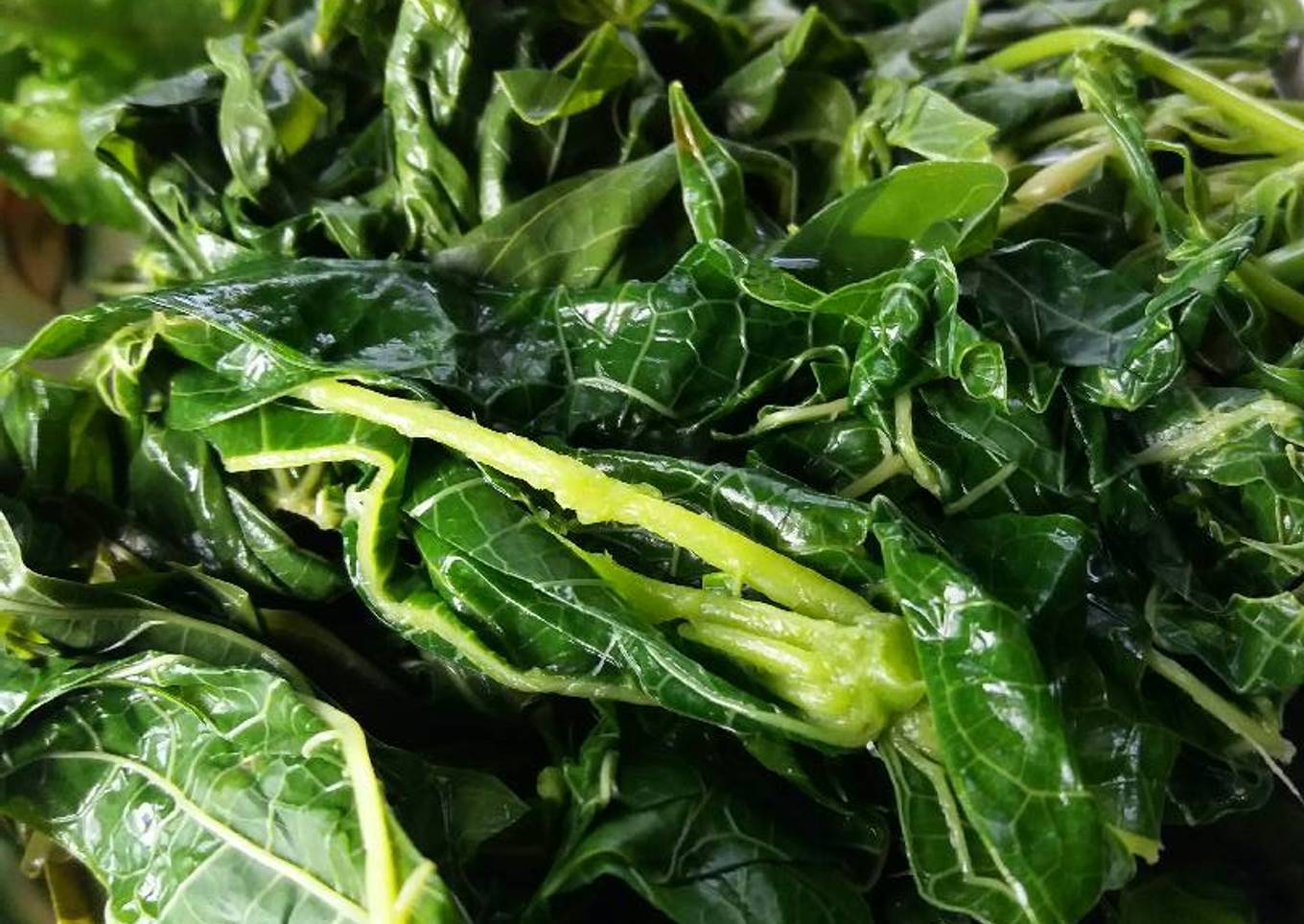 Cara Gampang Membuat Daun Pepaya dan Daun Singkong Rebus, Sempurna