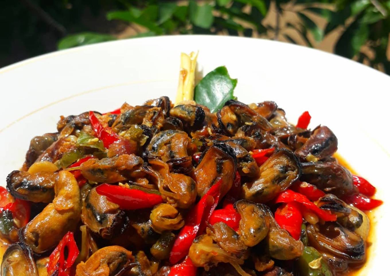 Tumis Pedas Kerang Ijo☘