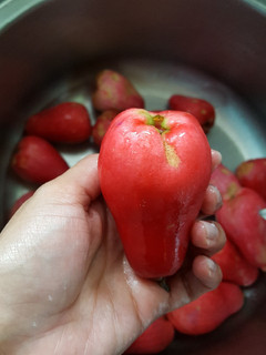 Una foto de Miel de "manzana de agua"