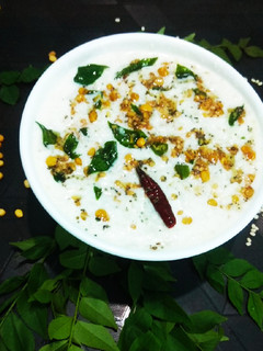 कर्ड राइस (Curd rice recipe in Hindi) रेसिपी मुख्य फोटो