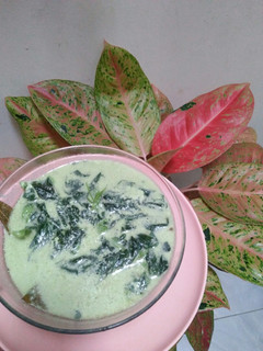 Foto resep Bobor bayam