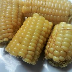 A picture of Nakuru-style maize on the cob.