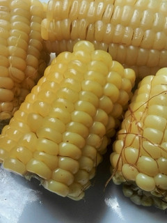 A picture of Nakuru-style maize on the cob.