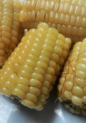 A picture of Nakuru-style maize on the cob.