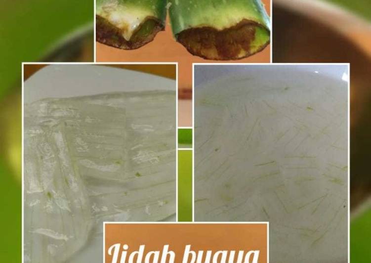 Cara Gampang Membuat Nata de Aloe vera Anti Gagal