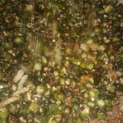 Crispy bhindi A picture of Crispy bhindi.