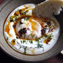 A picture of Turkish Poached Egg & Yoghurt.