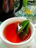 Teh daun sirsak
