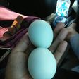 Telur asin bebek