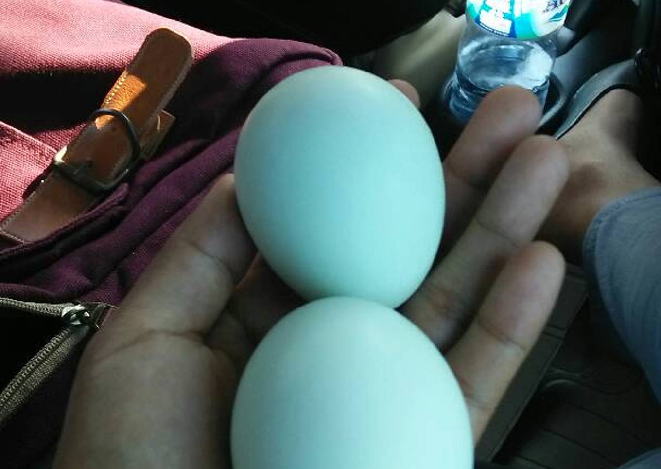 Telur asin bebek