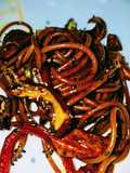 Espagueti con salsa oriental
