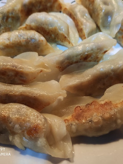 A picture of Pan fried Chinese dumpling 锅贴.