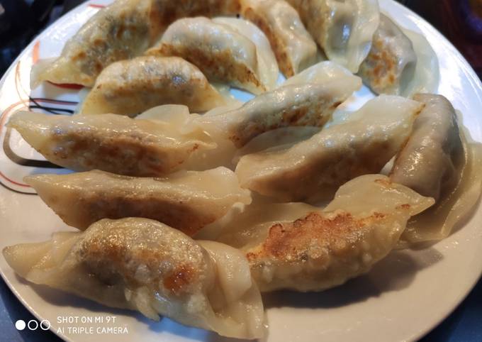 Pan fried Chinese dumpling 锅贴