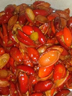 Foto resep Tumis jaket (kulit melinjo)