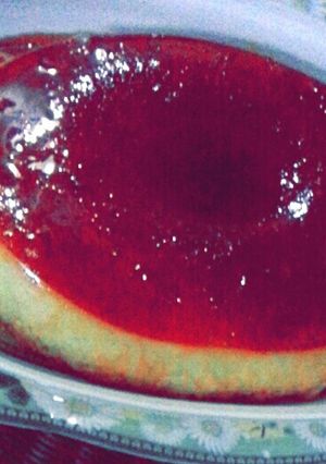 صورة لوصفة البودينج