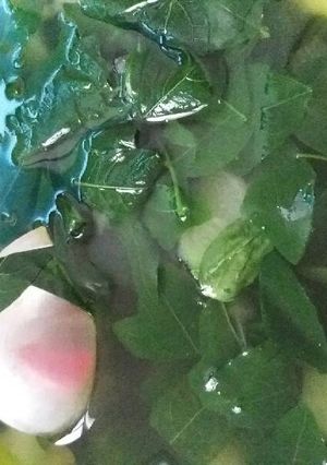 Foto resep Sayur bening katuk labu siam simpel