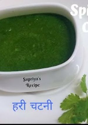 A picture of Spicy green chutney coriander chutney.