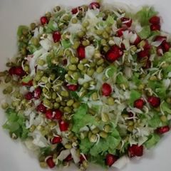A picture of Lettuce and Cabbage Salad.