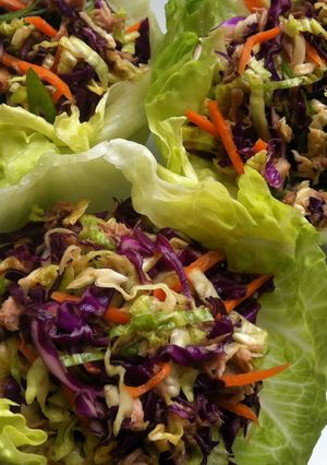 A picture of Spicy Asian Slaw with Tuna.