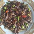 Tumis teri kering pete
