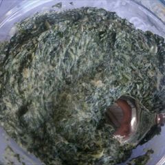 A picture of Cream Spinach.