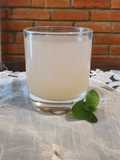 Agua de xoconostle con hierbabuena