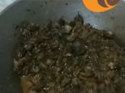 Gambar bekicot 1kg