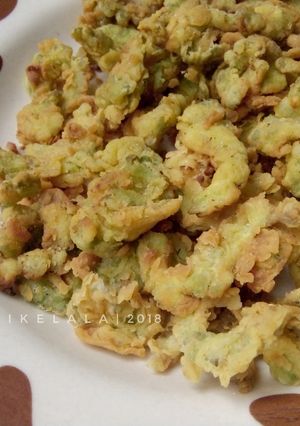 Foto resep Crispy Paria/Keripik Pare
