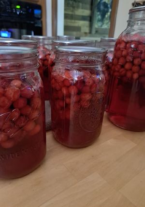 A picture of Canned Fresh Cranberry Juice.