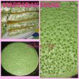 Martabak Manis