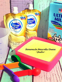 Foto resep Homemade Mozarella Cheese