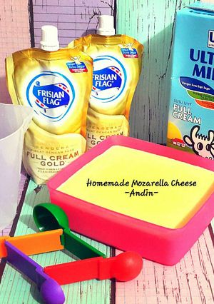 Foto resep Homemade Mozarella Cheese