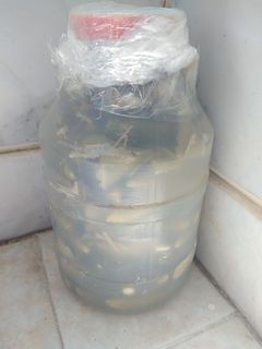 عکسی از دستور خیارشور