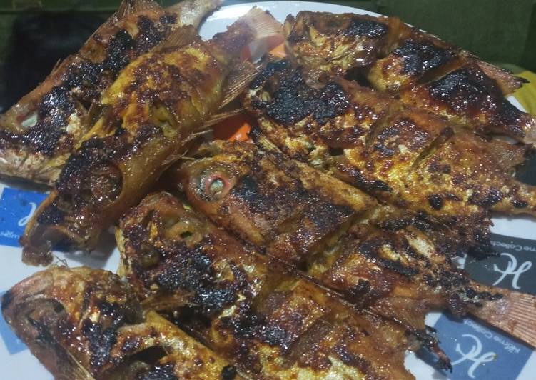 Olahan Ikan Bakar Kakap Merah Teflon😍 | Cara Buat Ikan Bakar Kakap Merah Teflon😍 Yang Enak Dan Lezat