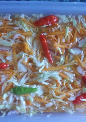 Foto resep Acar segerrrr..😋
