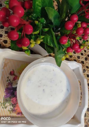 A picture of Home-made Yogurt.